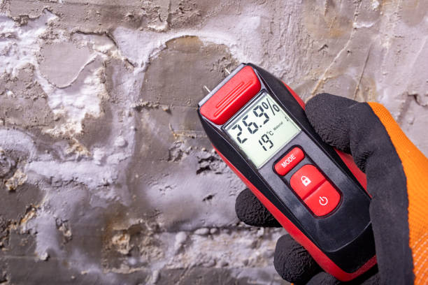 Best Office Mold Removal Services  in Avalon, CA