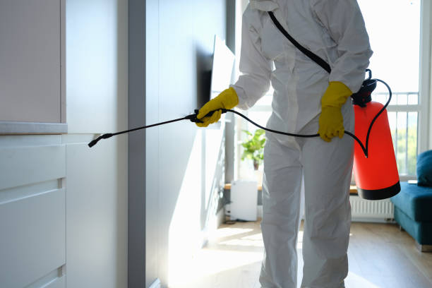 Best Water Damage Restoration  in Avalon, CA